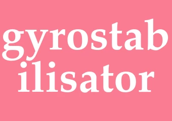 Synonym gyrostabilisator