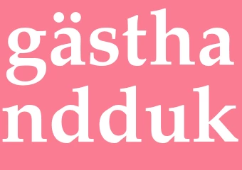 Synonym gästhandduk