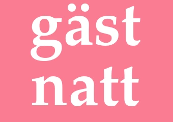 Synonym gästnatt