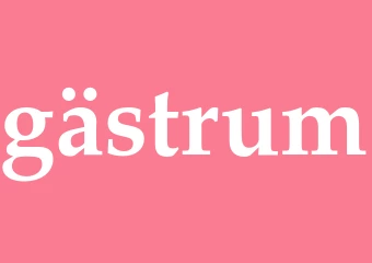 Synonym gästrum