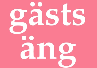 Synonym gästsäng