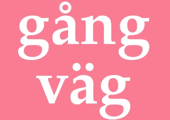 Synonym gångväg