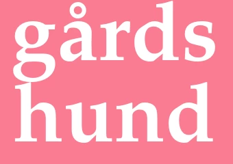 Synonym gårdshund