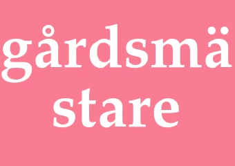 Synonym gårdsmästare