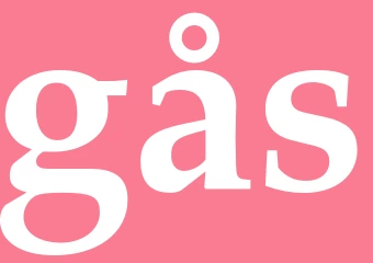 Synonym gås