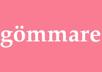 Synonym gömmare