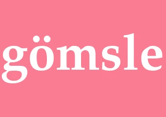 Synonym gömsle