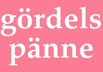 Synonym gördelspänne