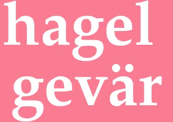 Synonym hagel-gevär