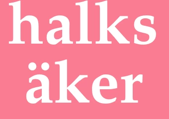 Synonym halksäker