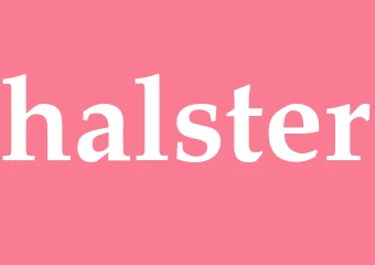 Synonym halster