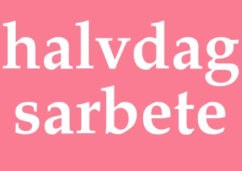 Synonym halvdagsarbete