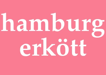 Synonym hamburgerkött