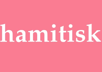 Synonym hamitisk
