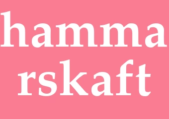 Synonym hammarskaft