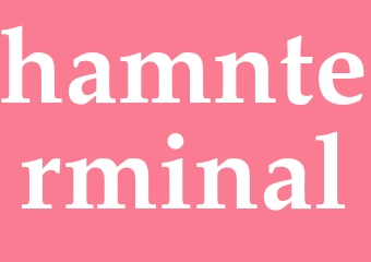 Synonym hamnterminal