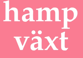 Synonym hampväxt