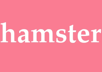 Synonym hamster