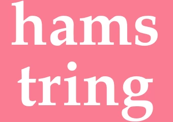 Synonym hamstring