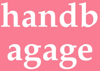 Synonym handbagage