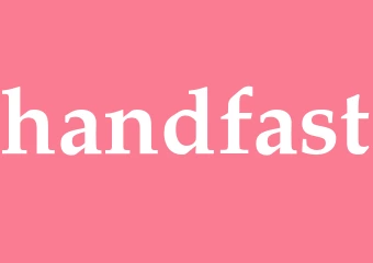 Synonym handfast