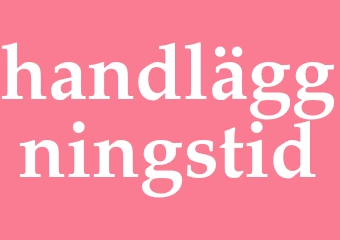 Synonym handläggningstid