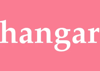 Synonym hangar
