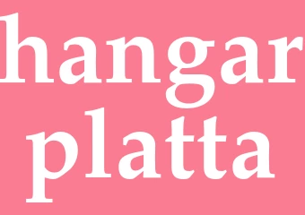 Synonym hangarplatta