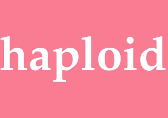 Synonym haploid
