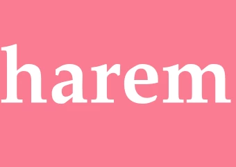 Synonym harem
