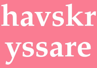 Synonym havskryssare
