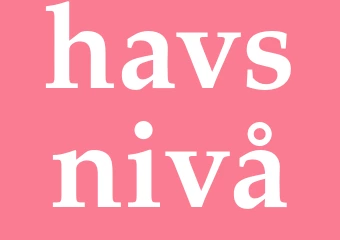 Synonym havsnivå