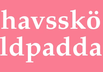 Synonym havssköldpadda