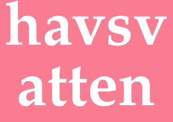 Synonym havsvatten