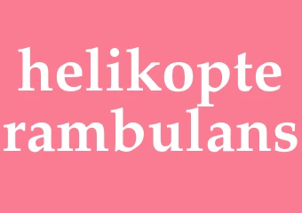 Synonym helikopterambulans