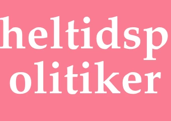 Synonym heltidspolitiker