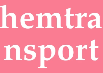 Synonym hemtransport