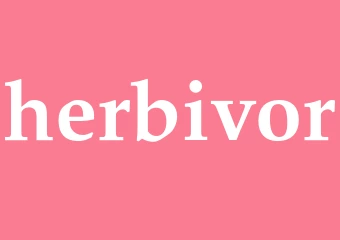 Synonym herbivor