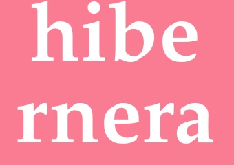 Synonym hibernera