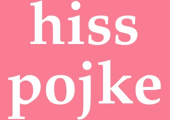 Synonym hisspojke
