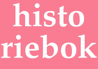 Synonym historiebok
