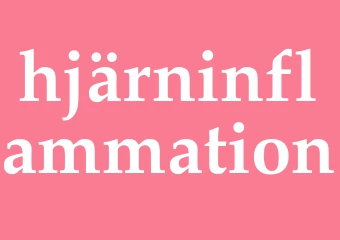 Synonym hjärninflammation