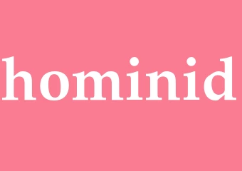 Synonym hominid