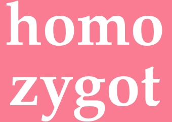 Synonym homozygot