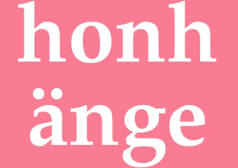 Synonym honhänge