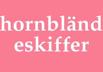 Synonym hornbländeskiffer