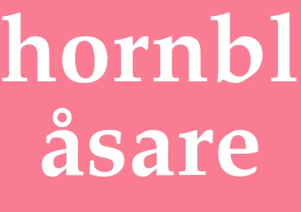 Synonym hornblåsare