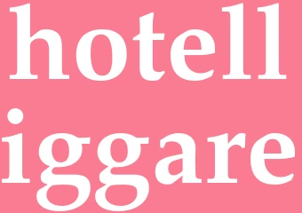 Synonym hotelliggare