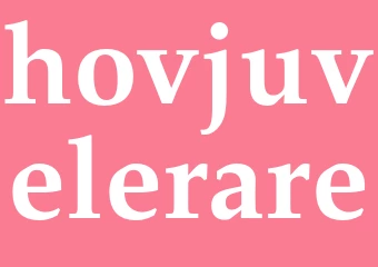 Synonym hovjuvelerare