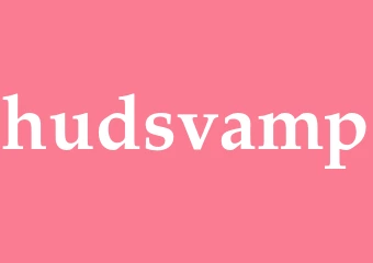 Synonym hudsvamp